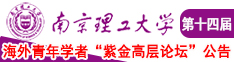 嗯嗯额啊啊白虎欧美南京理工大学第十四届海外青年学者紫金论坛诚邀海内外英才！